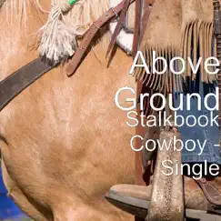 Stalkbook Cowboy - Single by Above Ground album reviews, ratings, credits