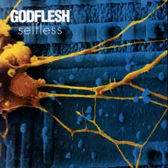 Selfless by Godflesh album reviews, ratings, credits