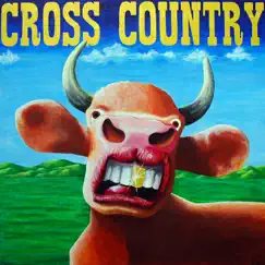 Cross Country by Joe Webb album reviews, ratings, credits