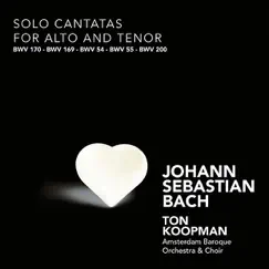 Bach: Solo Cantatas for Alto and Tenor by Ton Koopman, Amsterdam Baroque Orchestra & Amsterdam Baroque Choir album reviews, ratings, credits