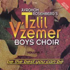 Be The Best You Can Be, Vol. 7 by Tzlil V'zemer Boys Choir album reviews, ratings, credits