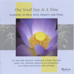 One Small Step At a Time: Learning to Deal With Anxiety and Panic by Laurie Nelson album reviews, ratings, credits