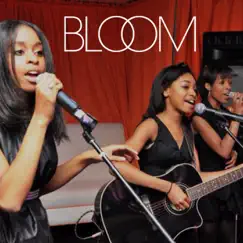 Turn It Around - Single by Bloom album reviews, ratings, credits