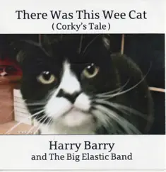There Was This Wee Cat by Harry Barry and the Big Elastic Band album reviews, ratings, credits