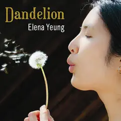 Dandelion (feat. Karl Sommerfeld, Ben Winship, Steve Charles, Patrick Metzger) Song Lyrics