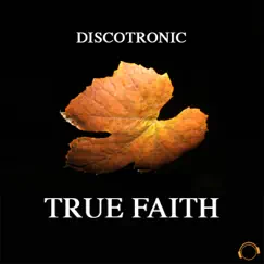 True Faith (Discotronic's Hacienda Remix) Song Lyrics