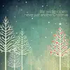 Never Just Another Christmas - Single album lyrics, reviews, download