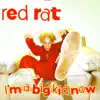 My Boy Red Rat song lyrics