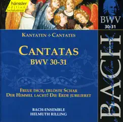 Der Himmel Lacht, Die Erde Jubilieret, BWV 31: Recitative: Weil Denn Das Haupt Sein Glied (Soprano) Song Lyrics