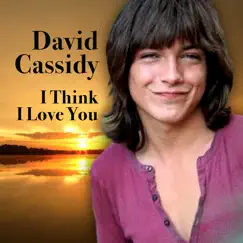 I Think I Love You - Single by David Cassidy album reviews, ratings, credits