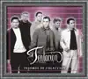 Tesoros de Coleccion: Grupo Tentación album lyrics, reviews, download