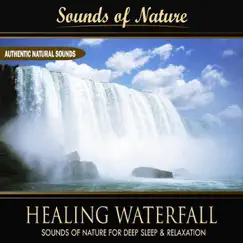 Healing Waterfall (Nature Sounds) - Single by Sounds of Nature for Deep Sleep and Relaxation album reviews, ratings, credits