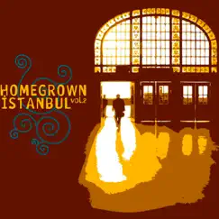 Homegrown Istanbul, Vol. 2 (Disc 1) by Various Artists album reviews, ratings, credits