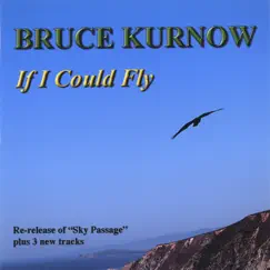 If I Could Fly Song Lyrics