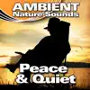 Peace & Quiet (Nature Sounds) album lyrics, reviews, download