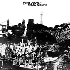 Temple Beautiful by Chuck Prophet album reviews, ratings, credits