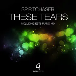 These Tears (Original Instrumental) Song Lyrics