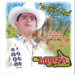 Dos Gotas De Agua by El Lobito de Sinaloa album reviews, ratings, credits