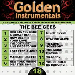 Golden Instrumentals, Vol. 18: The Bee Gees by Yoyo International Orchestra album reviews, ratings, credits