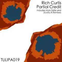 Partial Credit - EP by Rich Curtis album reviews, ratings, credits