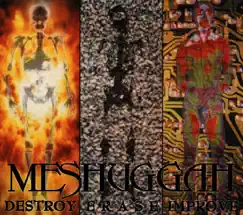Destroy Erase Improve by Meshuggah album reviews, ratings, credits