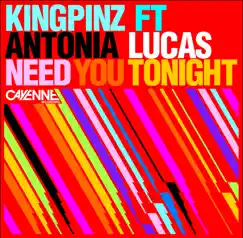 Need You Tonight (Instrumental Mix) Song Lyrics