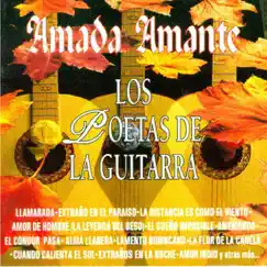 Llamarada Song Lyrics