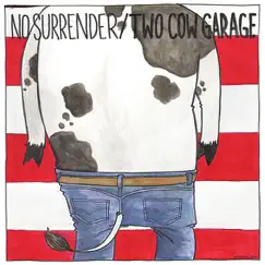 Under the Influence Vol. 9 by Two Cow Garage album reviews, ratings, credits