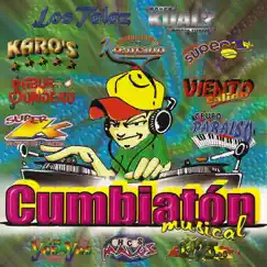 Cumbiatón Musical by Various Artists album reviews, ratings, credits