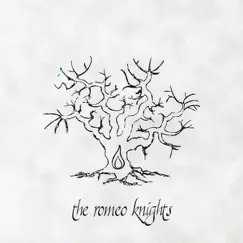 The Romeo Knights - Single by The Romeo Knights album reviews, ratings, credits