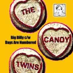 Big Billy / Days Are Numbered - Single by The Candy Twins album reviews, ratings, credits