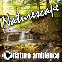 Naturescape (Nature Sounds) by Nature Ambience album reviews, ratings, credits