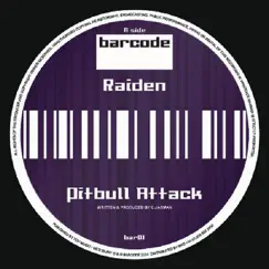 Pitbull Attack / Mind Bombing - Single by Raiden album reviews, ratings, credits