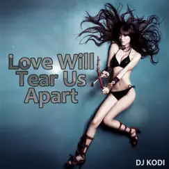 Love Will Tear Us Apart Song Lyrics