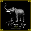 Raja (Oriental Chillout Beat) album lyrics, reviews, download