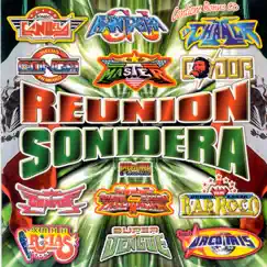 Reunion Sonidera by Various Artists album reviews, ratings, credits