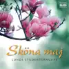 Sköna maj album lyrics, reviews, download