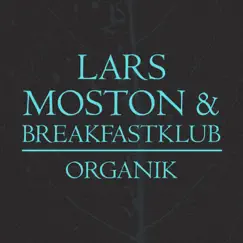 Organik (Original Mix) Song Lyrics