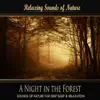 A Night In the Forest (Nature Sounds) - Single album lyrics, reviews, download