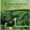 Peaceful Wilderness - Sounds of Nature album lyrics, reviews, download