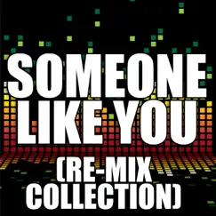 Someone Like You (Retro Re-Mix) Song Lyrics