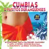 Cumbias & Pasitos Duranguenses album lyrics, reviews, download