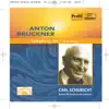 Bruckner: Symphony No. 7 In e Major album lyrics, reviews, download