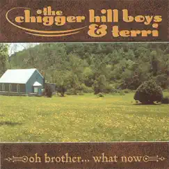 Oh Brother...What Now by The Chigger Hill Boys & Terri album reviews, ratings, credits