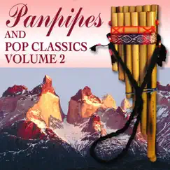 When You're In Love With A Beautiful Woman (Panpipe Mix) [Panpipe Mix] Song Lyrics
