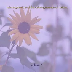 Relaxing Music & the Calming Sounds of Nature, Vol. 6 by Music for Meditation & Relaxation album reviews, ratings, credits