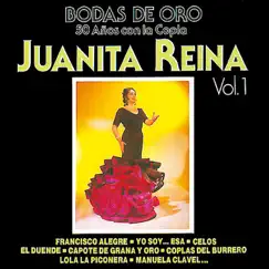 Reina y Señora Song Lyrics