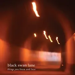 Things You Know and Love by Black Swan Lane album reviews, ratings, credits