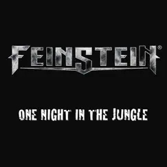 One Night in the Jungle by Feinstein album reviews, ratings, credits