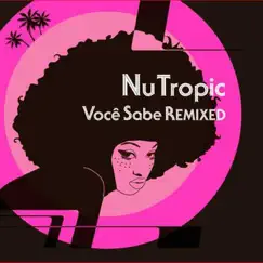 Leva e Traz Feat. Fernanda Porto (Solar Apple Quarktette Remix) Song Lyrics